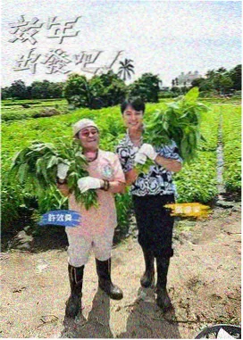 国家宝藏 青柠视频